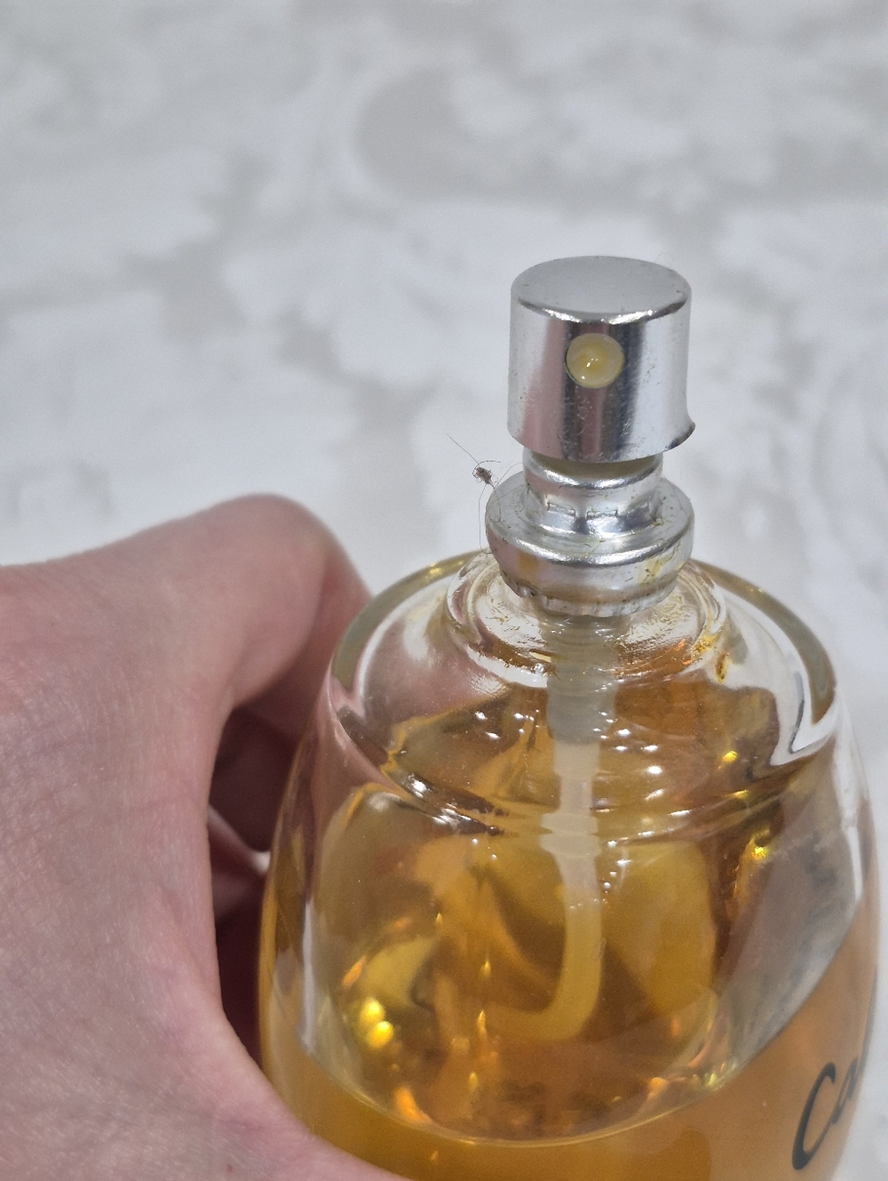Cabotine De Gres Eau De Toilette - Picture 9 of 17